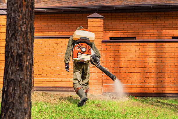 Top rated local Bed Bug Control specialists in Coalfield, TN